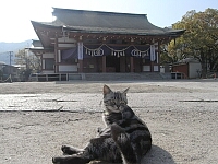 日記の画像