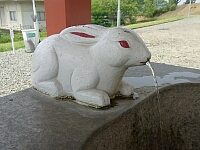 日記の画像