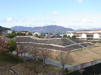 日記の画像