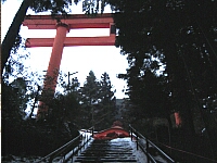 日記の画像
