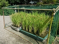 日記の画像