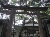 日記の画像