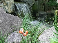 日記の画像