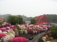 日記の画像