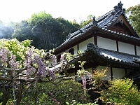 日記の画像
