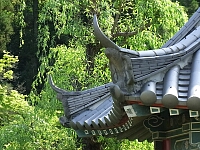 日記の画像