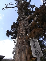 日記の画像