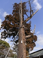 日記の画像