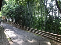 日記の画像