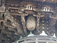 日記の画像