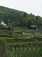 日記の画像