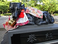 日記の画像