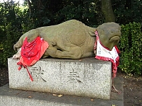 日記の画像