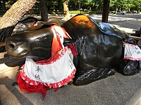 日記の画像
