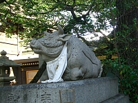 日記の画像