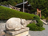 日記の画像