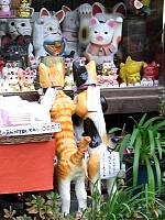 日記の画像