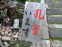 日記の画像