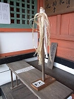 日記の画像