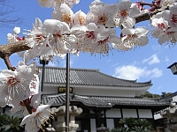 日記の画像