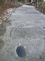 日記の画像