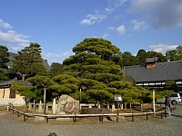日記の画像