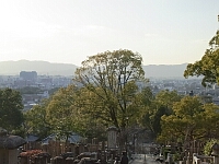 日記の画像