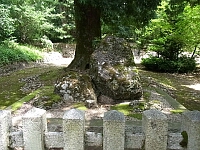 日記の画像