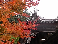日記の画像