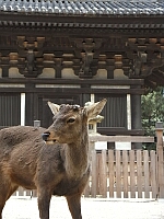 日記の画像