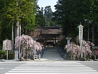 日記の画像