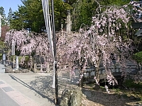 日記の画像