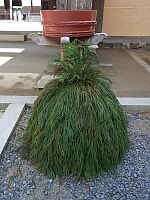 日記の画像