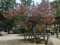 日記の画像