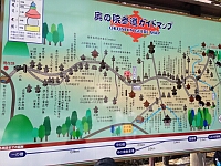 日記の画像