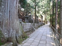 日記の画像