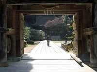 日記の画像