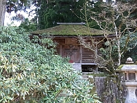 日記の画像