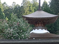 日記の画像