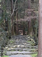 日記の画像