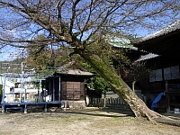 日記の画像