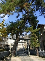 日記の画像