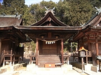 日記の画像