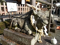 日記の画像
