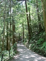 日記の画像