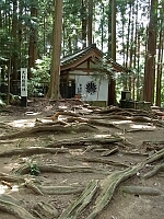 日記の画像