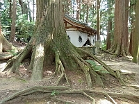 日記の画像