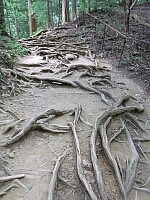 日記の画像