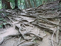 日記の画像