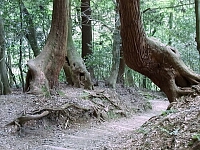 日記の画像